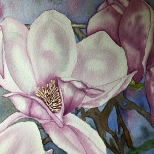 Courthouse Pink Tulip Magnolia