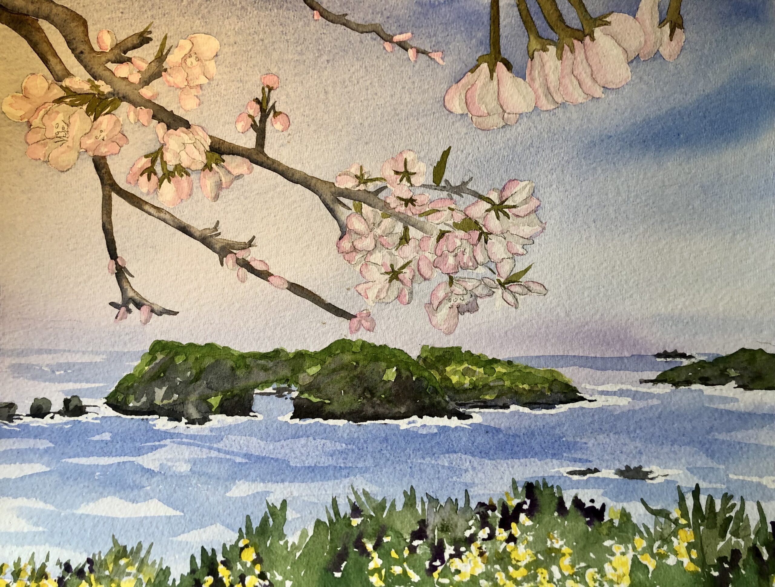 Watercolor painting of a radiant cherry blossom